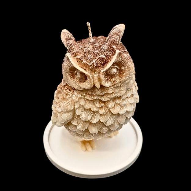 "Strażniczka Nocy - Królewska Sowa"