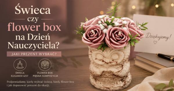 Flower box z sową i różowymi kwiatami jako prezent na Dzień Nauczyciela – Candlelightlove
